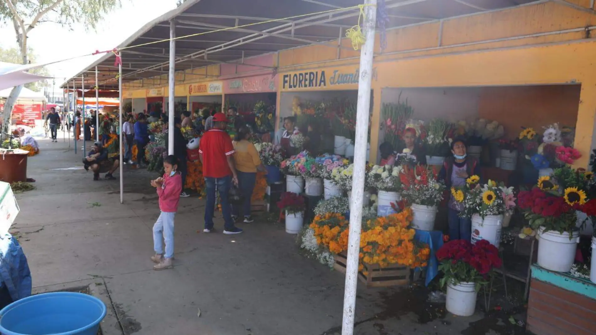 comerciantes flores muertos